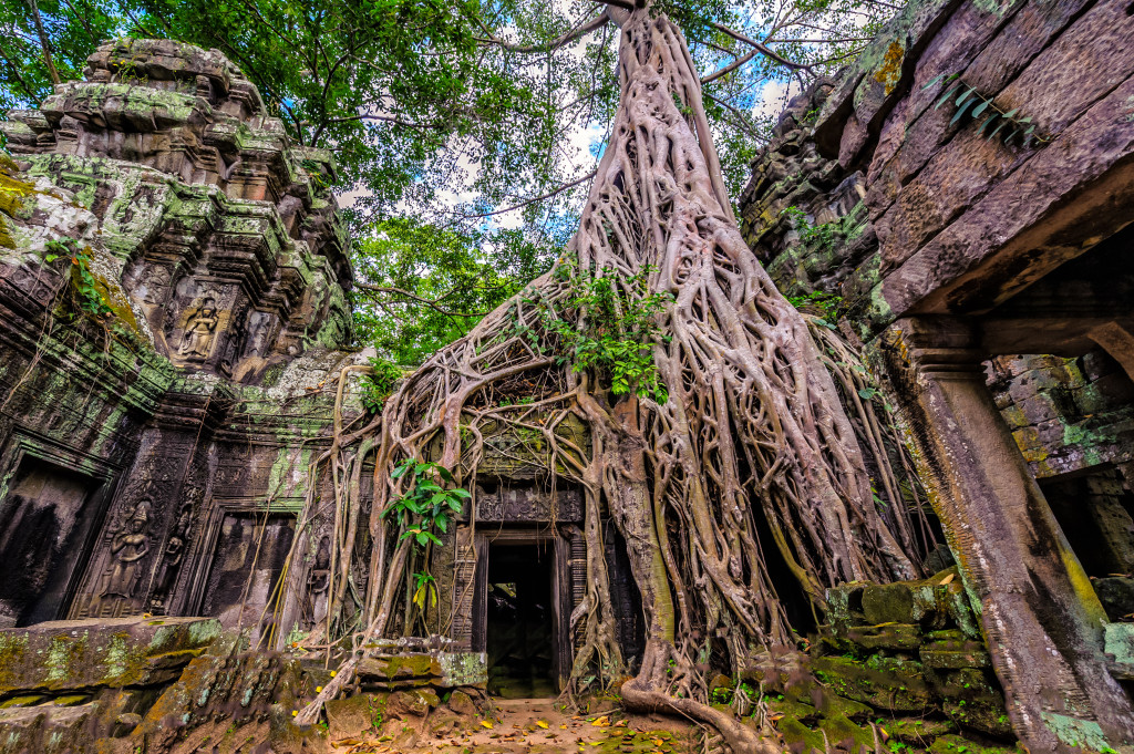 Guide to the Temples of Angkor